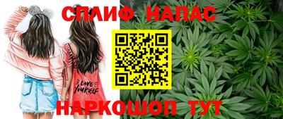 каннабис Будённовск